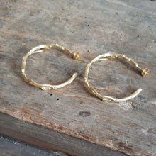 Load image into Gallery viewer, Branch Inspired Gold Filled Hoop Earrings

